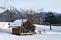 Zwischenbäch oberhalb vom Bürserberg