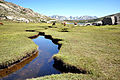 Le lac de Nino et les pozzines