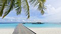 101 Diamonds Thudufushi Beach and Water Villas, May 2017 -09 uploaded by Martin Falbisoner, nominated by Martin Falbisoner