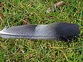 English: A common Feather seen regularly in Great Britain Deutsch: Taubenfeder, wahrscheinlich von einer verwilderten wildfarbenen Haustaube