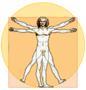 Vitruvian-Icon.png