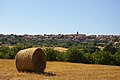 View of Puimoisson, dept. Alpes-de-Haute-Provence