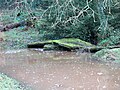 Ancien pont sur la Mignonne à Stang Meyet (limite des communes de Saint-Urbain et Irvillac).