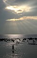 3 The paddling surfers under crepuscular rays uploaded by Mbz1, nominated by Mbz1