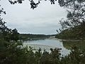 La rivière (ria) du Belon vue depuis la presqu'île de confluence entre l'anse de Penmor et la rivière de Belon ; à l'arrière-plan, le hameau de Bélon (en Moëlan-sur-Mer).