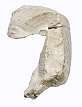 Thumbnail for File:Head of Akhenaten MET 21.9.608-9 view 1.jpg