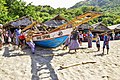 Mendorong Peledang Ke Laut