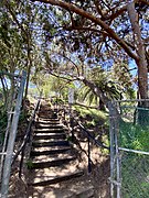 Stairs at Sand Dune Park, Manhattan Beach, California.jpg