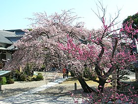 香積院