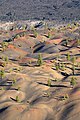 31 Painted Dunes and Fantastic Lava Beds (upright) uploaded by Frank Schulenburg, nominated by Frank Schulenburg,  23,  0,  0