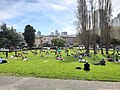 Washington Square Park in San Francisco, CA