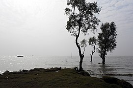 Sea beach at Muradpur Union (2).jpg