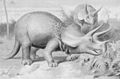 Triceratops (historical restoration)