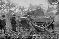 M4A1 tank and infantry, heading for the Cape Gloucester airdrome.