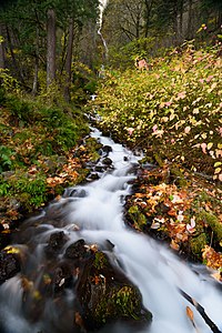 "Wahkeena_Falls_October_2019.jpg" by User:King of Hearts