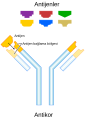 Türkçe • تورکی