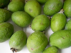 Feijoa - 2011-04-25 (5650968517).jpg