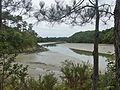 L'anse de Penmor à marée basse vue depuis sa rive gauche (GR 34).