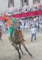 The jockey Alberto Ricceri (nicknamed "Salasso") and the barbero Caro Amico winning the Palio of August 16th 2006 for Selva