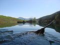 Hutovo Blato protected wildlife reservation.