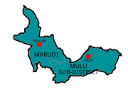 Marudi