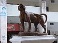 Lioness at Praça dos Leões in Fortaleza (Ceará-Brazil)