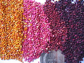 Grain colour variation in quinoa (Chenopodium quinoa)