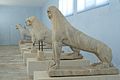 Lions in Delos