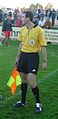 SBFV linesman