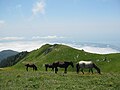 Mountains of Abkhazia