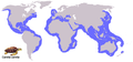 Caretta caretta Distribution