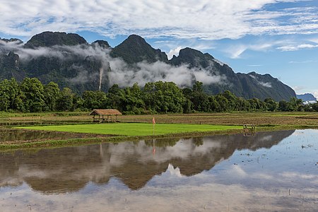 "Square_plot_of_a_green_paddy_field_and_water_reflection_of_mountains_with_mist_and_blue_sky,_Vang_Vieng,_Laos.jpg" by User:Basile Morin