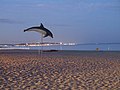 Sète vu depuis la plage naturiste du Cap d'Agde.