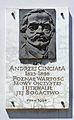 Dr Andrzej Cinciała Plaque