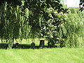 Alter jüdischer Friedhof/Old jewish cemetery