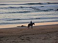 Vue panoramique depuis la plage de Pen er Malo 1.