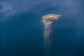 Submerged buoy with algae at Rågårdsdal 2