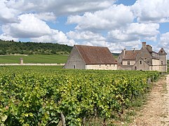 Vignobles de Bourgogne