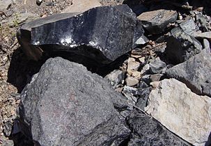 Counterclockwise from top: obsidian, pumice (lower left), and rhyolite (lower right)