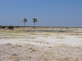 Twee Palms waterhole