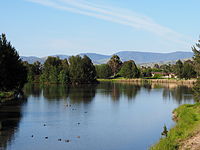 The northern end of Lake Tuggeranong