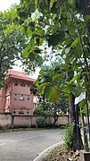 Beautiful buildings at Tezpur University.jpg