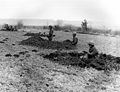 Members of the 630th Tank Destroyer Battalion, Company "B", who lost their vehicles during advancement to Belgium, take Infantry positions on a hill covering an approach in Wiltz, Bastogne, (12/20/44)