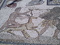 Heracles mosaic