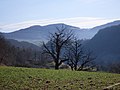 Landschaft bei Rothenfluh