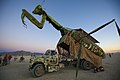 Grasshopper, Burning man 2010