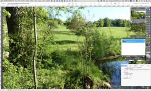 Screenshot of GraphicConverter 11.6.2 displaying Bach-neben-Baggersee-Neckarhausen.jpg (a photo uploaded to Wikimedia Commons).png