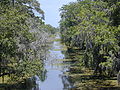 Kenta Canal at Barataria Preserve Le canal Kenta dans la réserve de Barataria