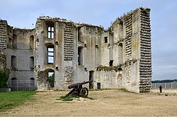 Chateau de La-Ferté-Millon