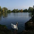 Jannersee in Lauterach